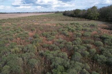 0 John Rivers Rd unit 11562988, Winnsboro, LA 71295 - photo 7