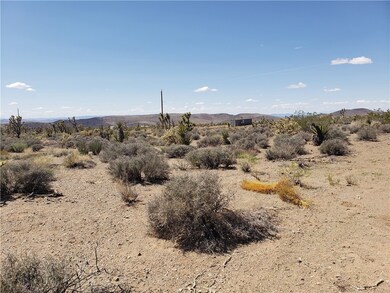 2 ACRES La Crescenta Dr, White Hills, AZ 86445 - photo 6