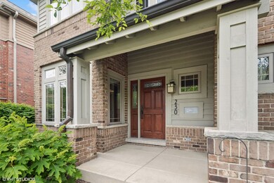 230 N Addison Ave, Elmhurst, IL 60126 - photo 4