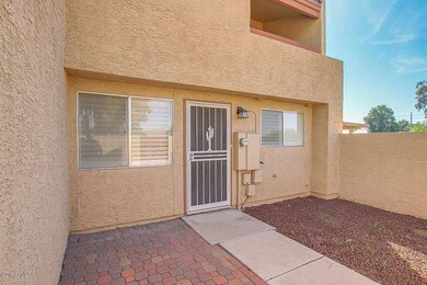 Front Door / Yard