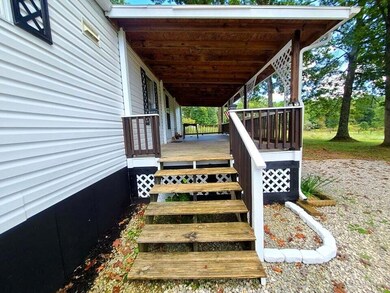 Steps to Front Porch