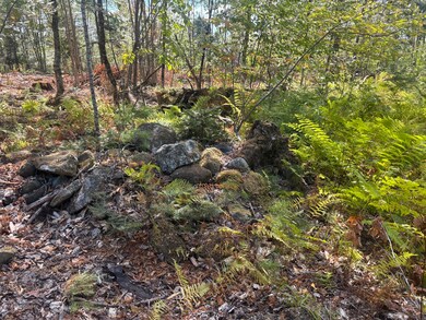 M10/18-7 Brown Rd, Mercer, ME 04957 - photo 2