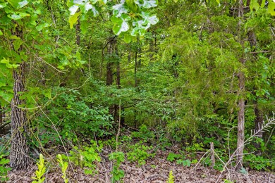 Table Rock Lake Close Acreage