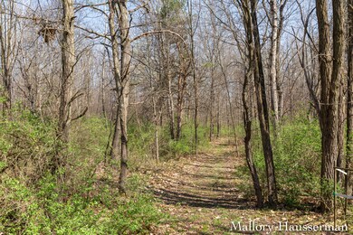 13259 Burroughs St NE, Lowell, MI 49331 - photo 4