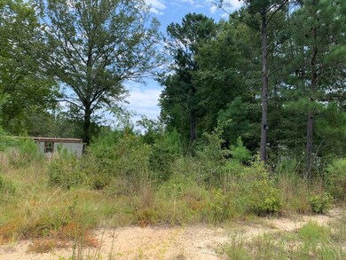 smyrna4