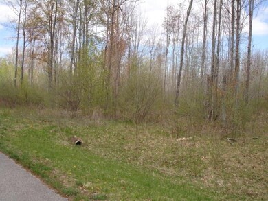 Buck Run Parcel 4 (3)