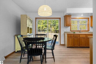 10810 S Blue Ridge Ln, Traverse City, MI 49684 - photo 5