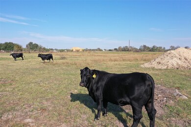 Tract 1 Tbd Jackson Rd, Bellville, TX 77418 - photo 5