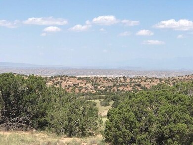 10 Diamond Tail Rd, Placitas, NM 87043 - photo 7