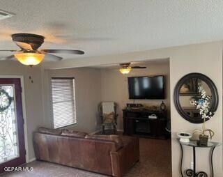 717 Desert Sage Dr, Horizon City, TX 79928 - photo 4