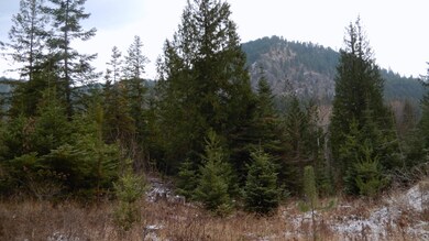 Mountain Views