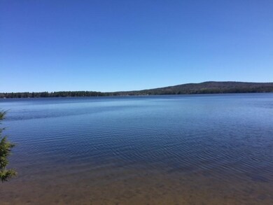 157 Bonnyman Rd, Effingham, NH 03882 - photo 2