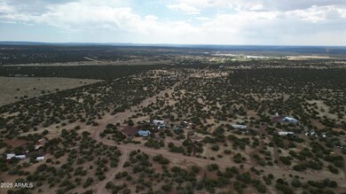DJI_0108 (002)