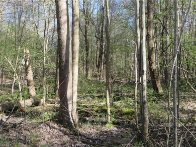 VL Calhoun & State Line Rd, Conneaut, OH 44030 - photo 3