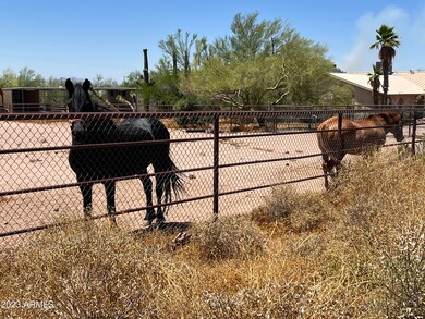 neighbors horses