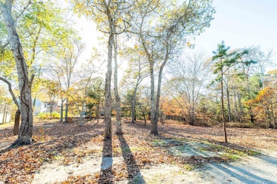 0 Barnes Rd unit 32400334, Oak Bluffs, MA 02557 - photo 3