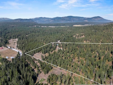 152 Tillacum Trail, Newport, WA 99156 - photo 5