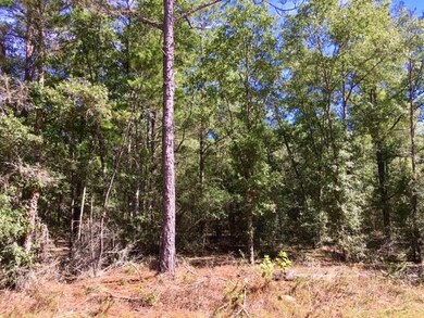 Wooded Corner Lot