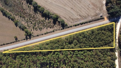 001 Open Pond Rd, Florala, AL 36442 - photo 3