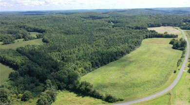 00 Pisgah Covered Bridge Rd, Asheboro, NC 27205 - photo 7