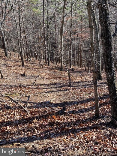 LOT 237 Ridge View Rd, Moorefield, WV 26836 - photo 6