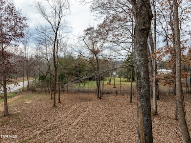 211 Rocky Branch Rd, Blountville, TN 37617 - photo 4