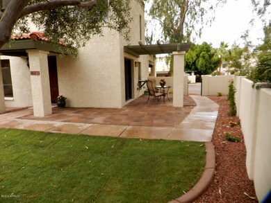 Back/Side yard