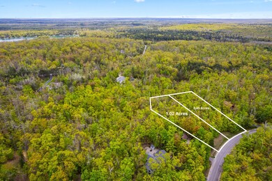 L1596&1597 Pheasant Run, Otsego Lake Township, MI 49735 - photo 4