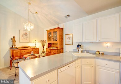 2003 Rudy Serra Dr unit 3C, Sykesville, MD 21784 - photo 3