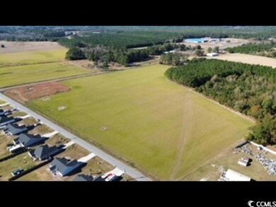 Hwy 66 Hewitt Rd, Loris, SC 29569 - photo 3