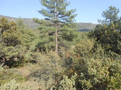 DSCN5349