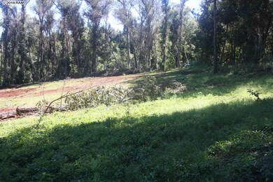 125 Ehu Rd unit E, Makawao, HI 96768 - photo 3