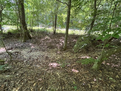 Photo Jul 18 2025, 1 06 36 PM