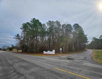 Lot 1 C Peach Tree Rd, Marion, SC 29571 - photo 6