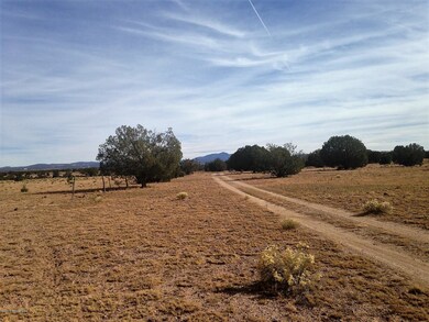 17 Wagon Tree Rd, Ash Fork, AZ 86320 - photo 6
