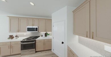 12807 Lower Peach Way, Schertz, TX 78154 - photo 5