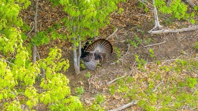0 TRACT #2 Tappmeyer Rd, Owensville, MO 65066 - photo 6