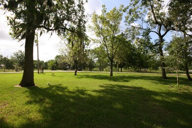 2400 County Road 415c, Brazoria, TX 77422 - photo 4