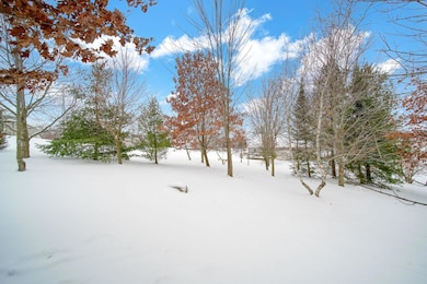 3581 Kehoe Rd, Clinton, MI 49236 - photo 7