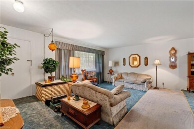 Awesome sunken living room with a removable floor 