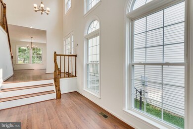 2403 Pondside Terrace, Silver Spring, MD 20906 - photo 7