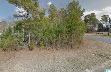 151 Plantation Dr, Pell City, AL 35128 - photo 2