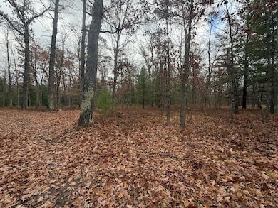 Parcel 2 Cleveland Dr, Bitely, MI 49309 - photo 6