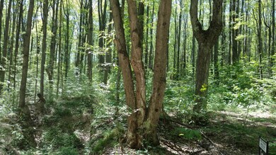 0 Wilderness Trail unit 314703, Vanderbilt, MI 49795 - photo 6