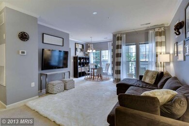 1515 N Point Dr unit 203, Reston, VA 20194 - photo 4