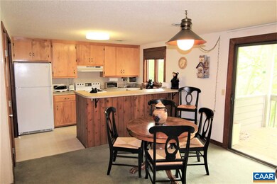 441 3 Ridges, Wintergreen Resort, VA 22967 - photo 5