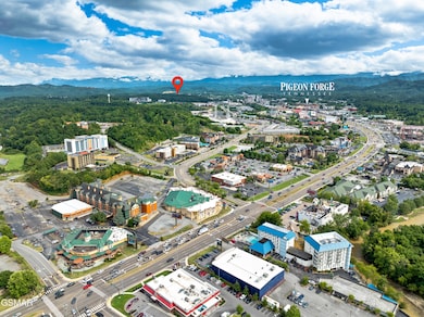 3720 Plaza Way unit 152, Pigeon Forge, TN 37863 - photo 4