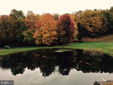 504 Sycamore Rd, Douglassville, PA 19518 - photo 7