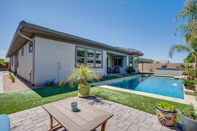 Pool & backyard
