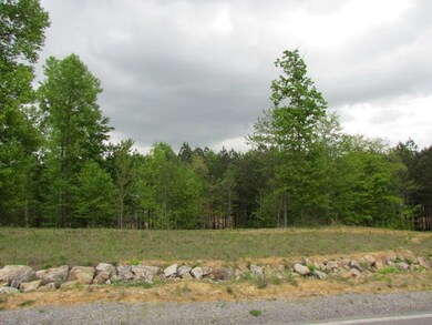 165 Lookout View Dr, Jasper, TN 37347 - photo 5